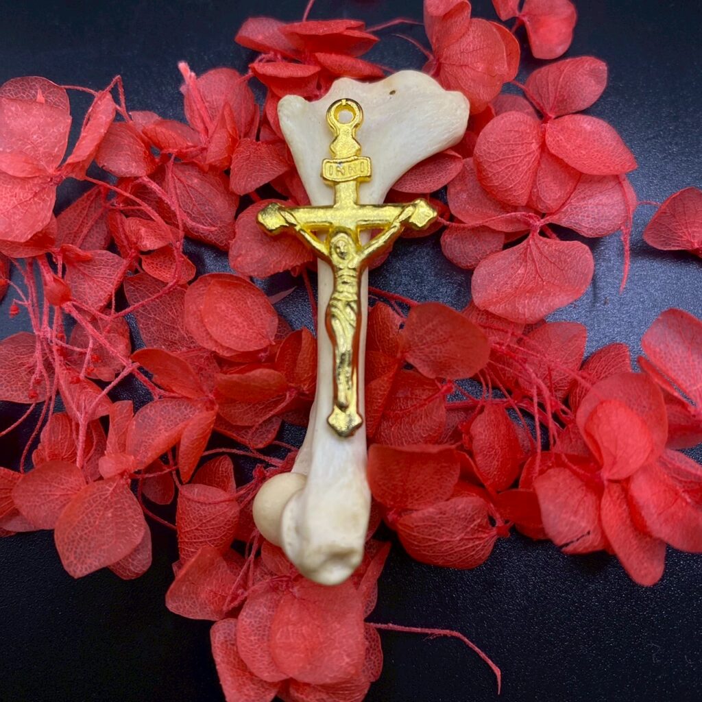 LINE ALBUM 202578 250810 1 1024x1024