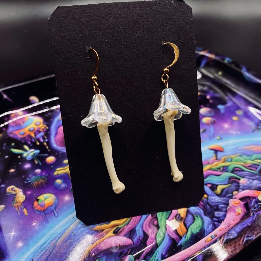 line album 202578 250819 2